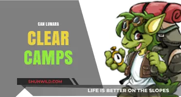 Lunara's Camp Clearing Efficiency: Strategies and Tips for Heroes of the Storm