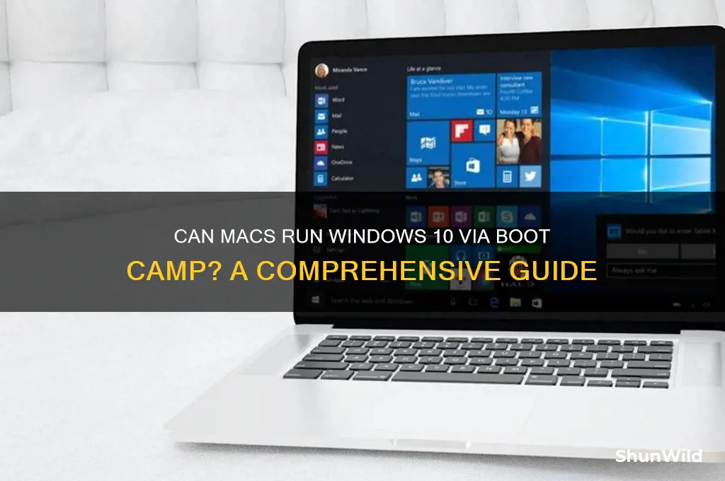 can macs boot camp windows 10