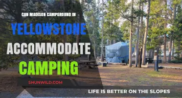 Can Madison Campground in Yellowstone Accommodate Your Camping Adventure?