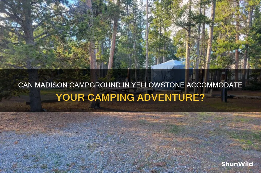can madison campground in yellowstone accommodate camping
