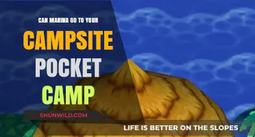 Can Marina Visit Your Campsite in Pocket Camp? Find Out!