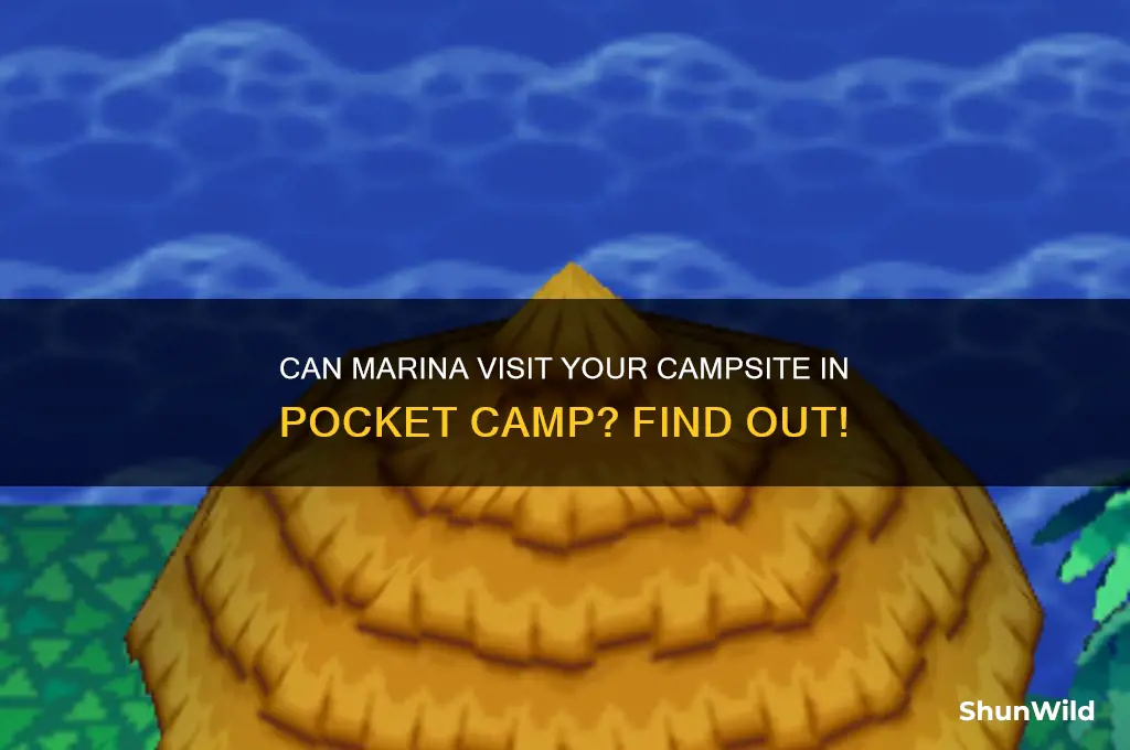 can marina go to your campsite pocket camp