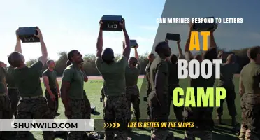 Can Marines Respond to Letters During Boot Camp? Here's What to Know