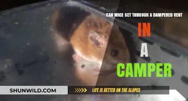 Can Mice Enter Camper Vents with Dampers? Prevention Tips