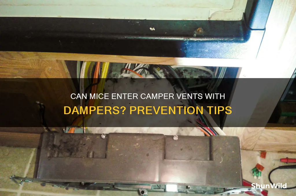 can mice get through a dampered vent in a camper