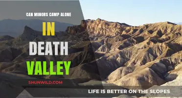 Can Minors Camp Solo in Death Valley? Safety and Legal Insights