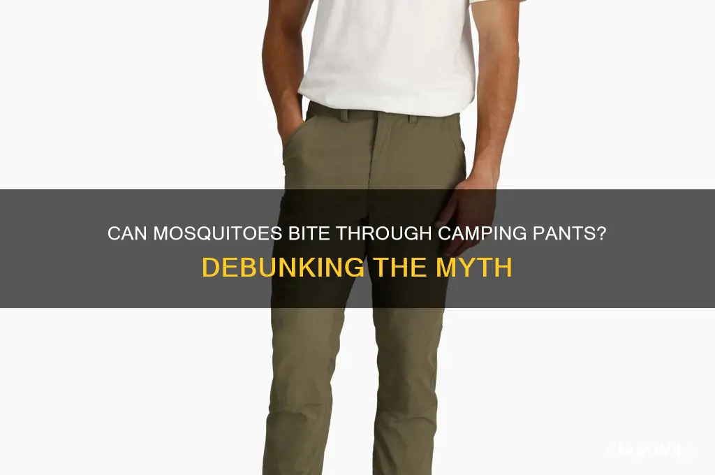 can mosquitos bite through camping pants