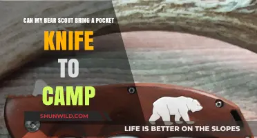 Pocket Knives at Camp: Bear Scout Safety Guidelines Explained