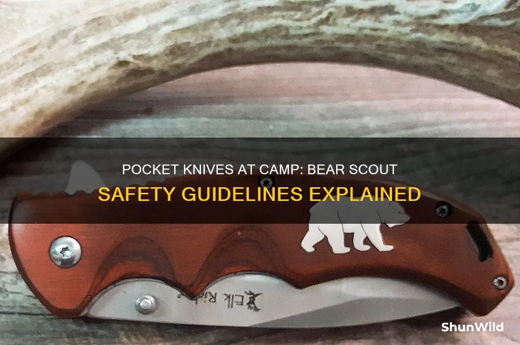 can my bear scout bring a pocket knife to camp
