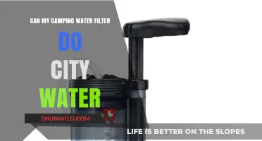 Can Camping Water Filters Effectively Purify City Tap Water?