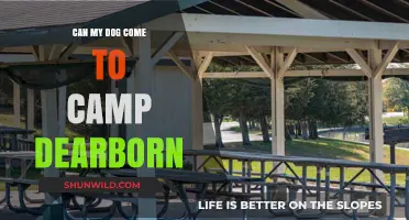 Can My Dog Join Me at Camp Dearborn? Pet Policy Explained