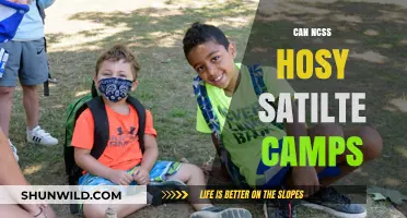 Exploring NCSS HOSY Satellite Camps: Benefits, Challenges, and Opportunities