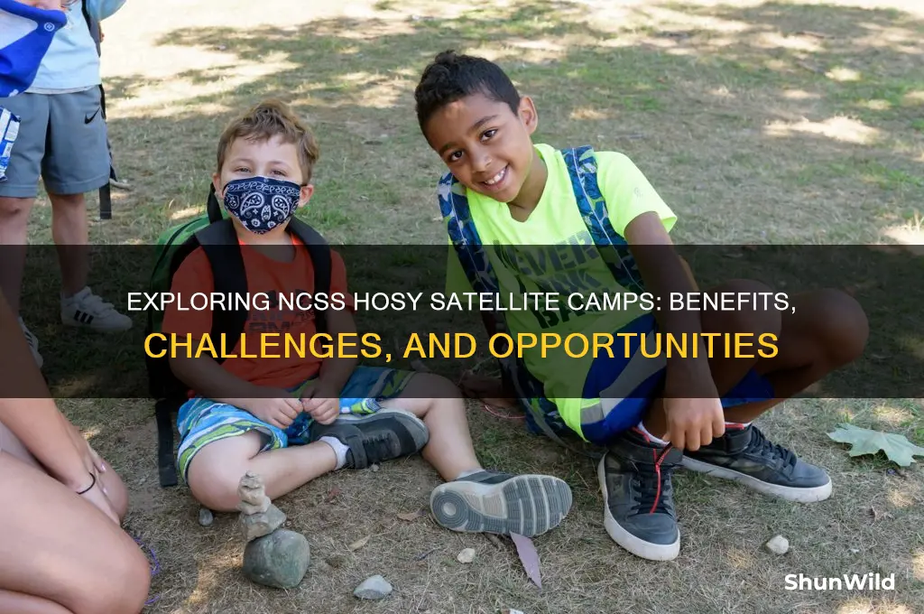 can ncss hosy satilte camps