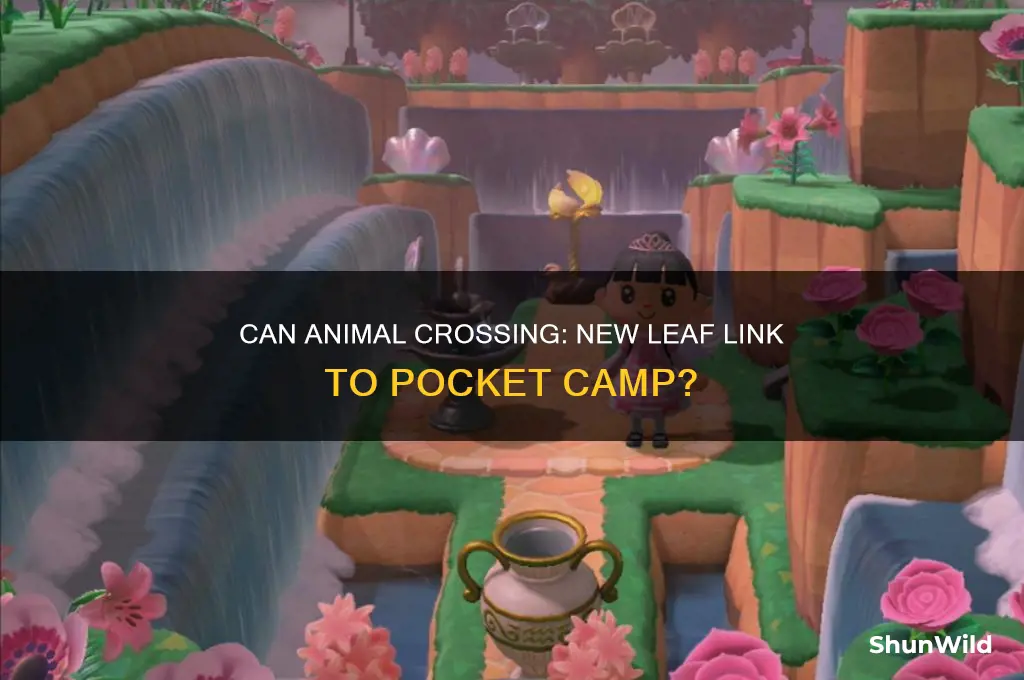 can new leaf connect to pocket camp