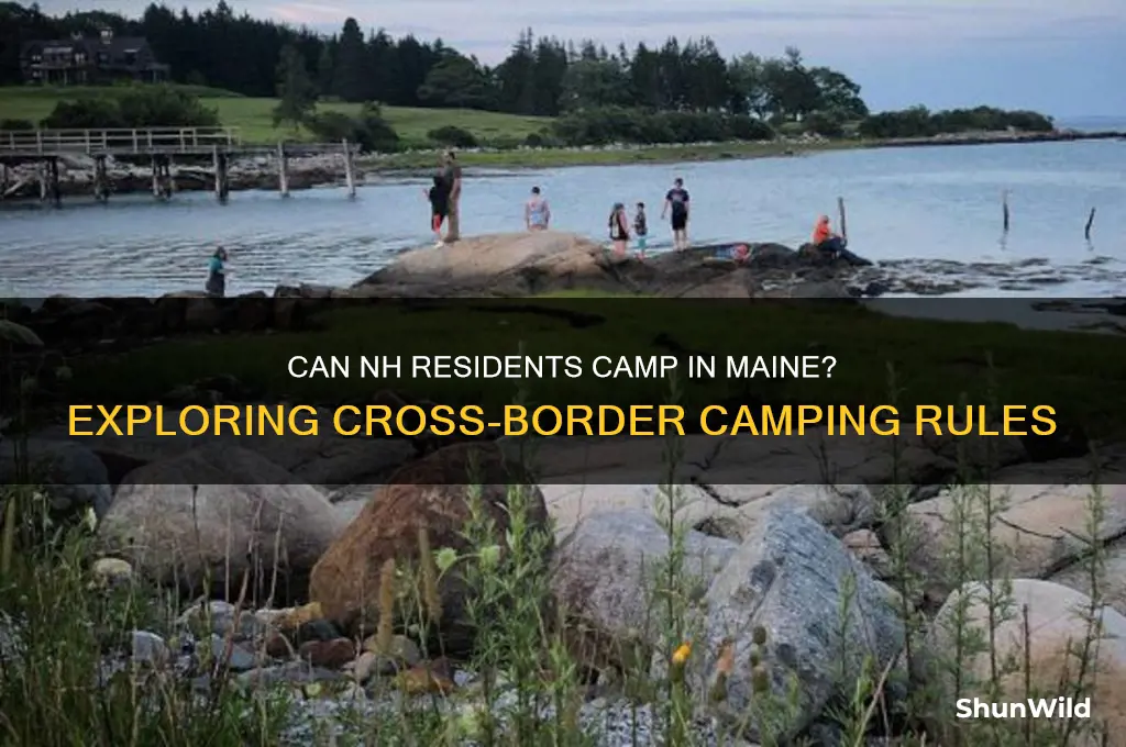 can nh residents camp in maine