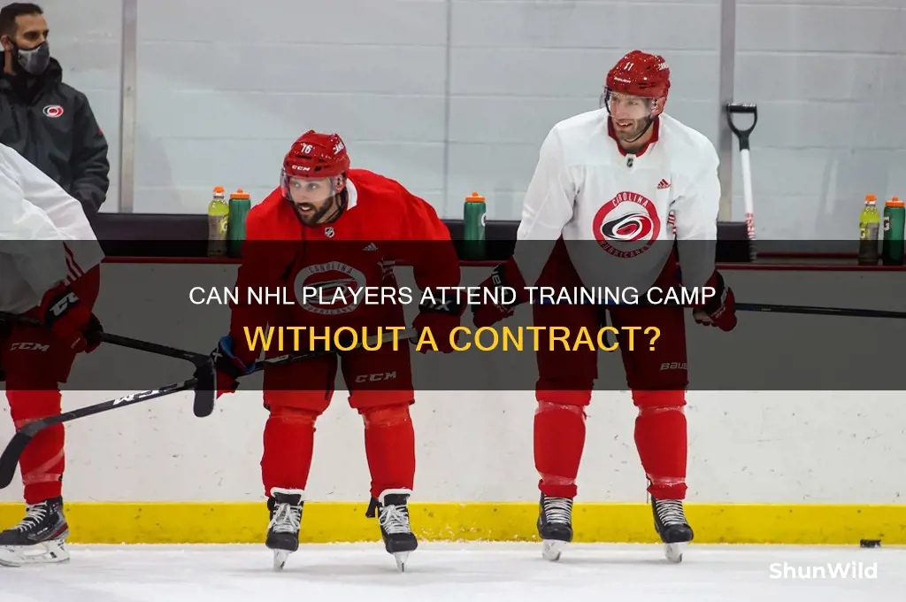 can nhl players come to training camp without a contract