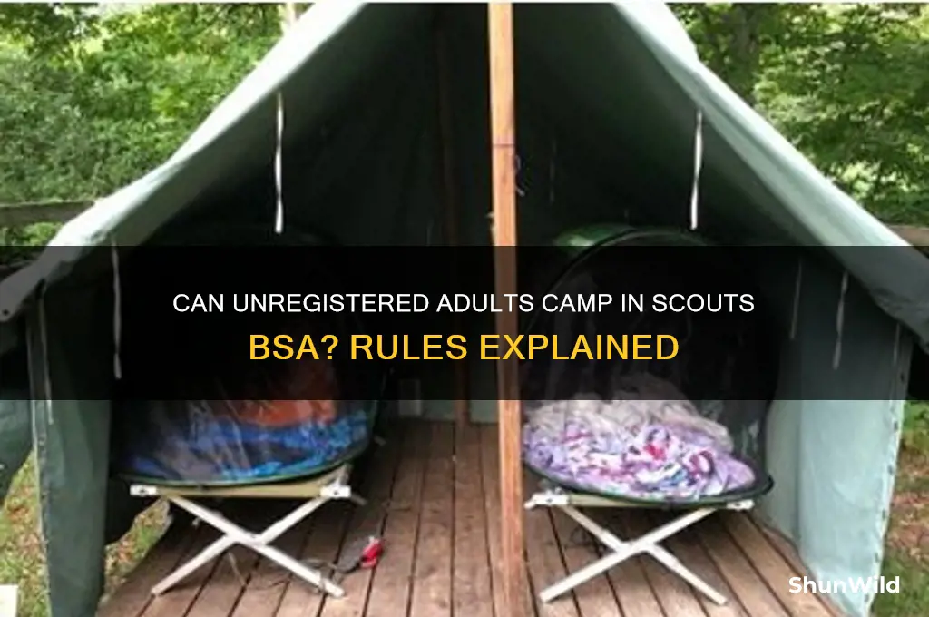 can non registered adults camp in scouts bsa