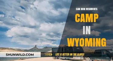 Can Non-Residents Camp in Wyoming? Rules and Tips for Visitors
