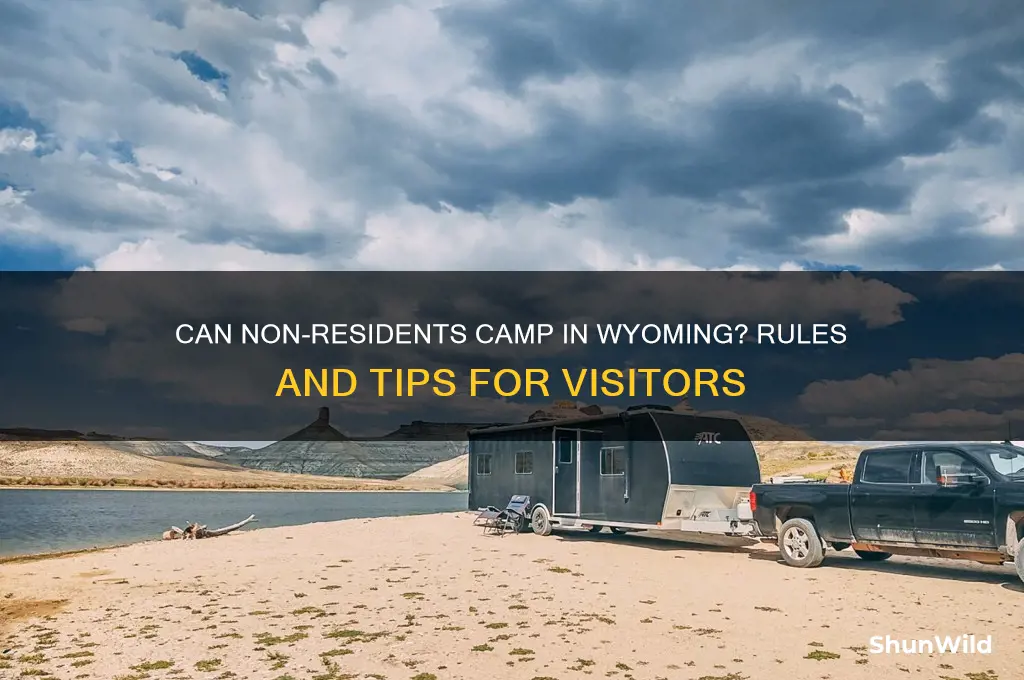 can non residents camp in wyoming
