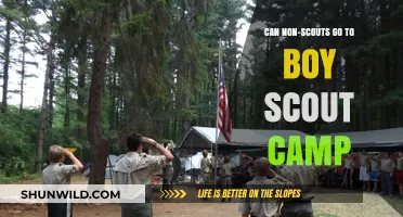 Can Non-Scouts Attend Boy Scout Camp? Exploring Participation Options