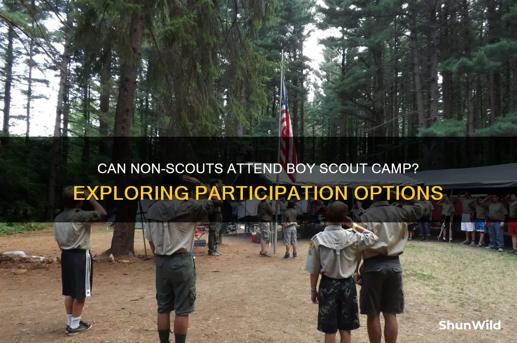 can non-scouts go to boy scout camp