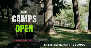 Can NY Camps Open Safely This Summer? Guidelines and Updates