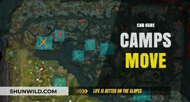 Do Ogre Camps Relocate in Dota 2? Exploring Movement Possibilities