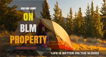 Camping on BLM Land: Rules, Tips, and What You Need to Know