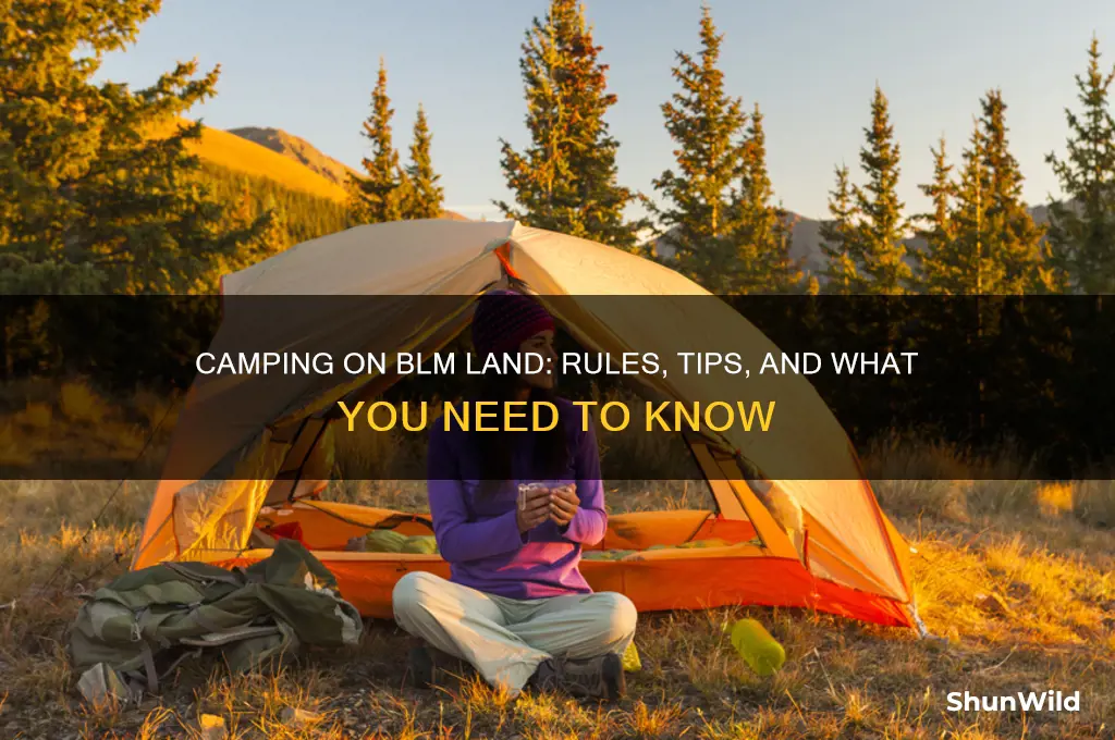 can one camp on blm property