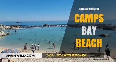 Swimming at Camps Bay Beach: Safety Tips and What to Expect
