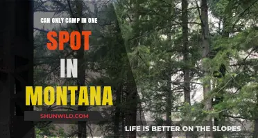 Exploring Montana's Camping Limits: One Spot, Endless Adventures Await