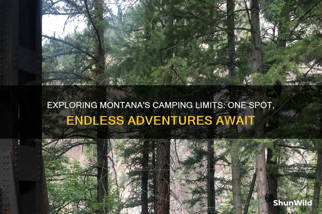 can only camp in one spot in montana