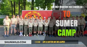 Registered BSA Leaders Only: Summer Camp Access Explained