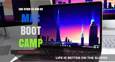 Can You Install Other Operating Systems on Mac via Boot Camp?
