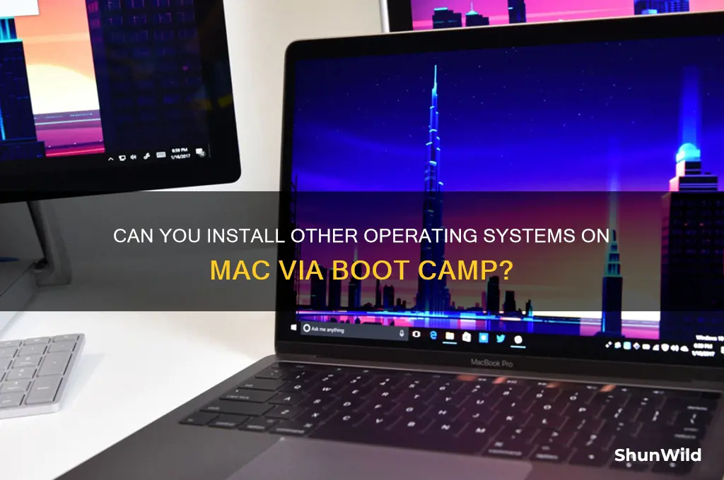 can other os run on mac boot camp