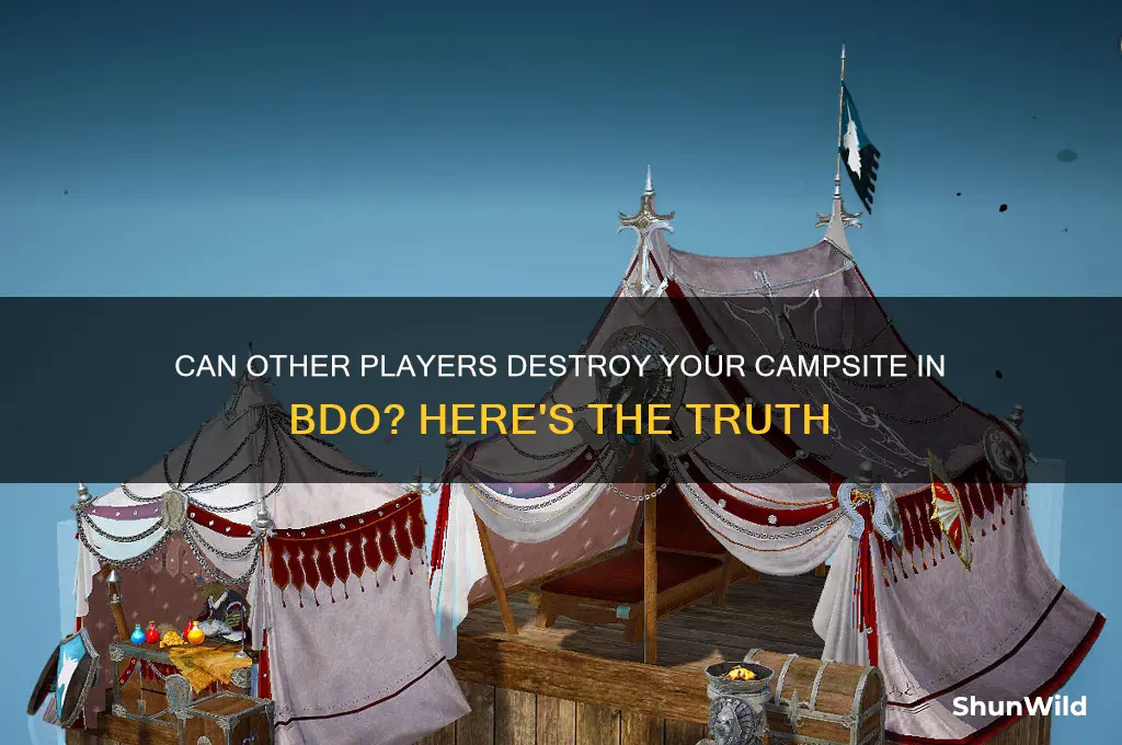 can other players destroy your camp site bdo