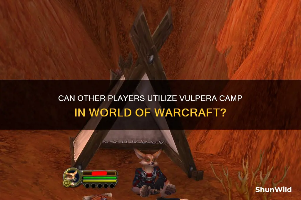 can others use vulpera camp