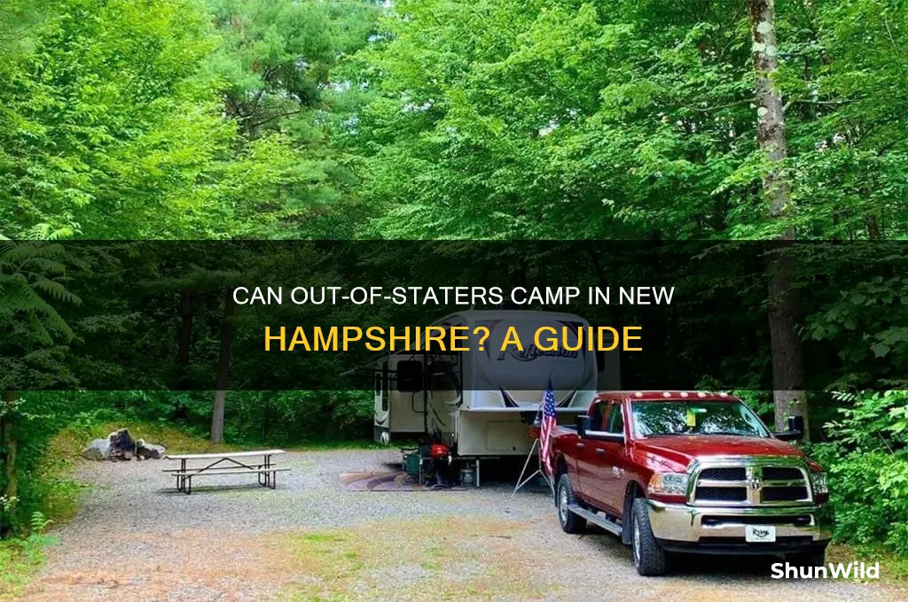 can out of staters camp in new hampshire