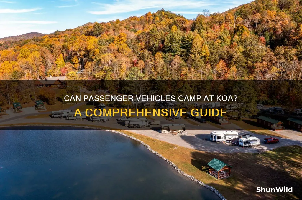 can passenger vehicles camp at koa