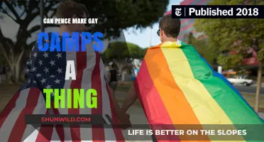 Pence's Influence: Could Gay Conversion Camps Resurface in America?