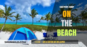Can You Camp on the Beach? Rules, Tips, and Best Practices