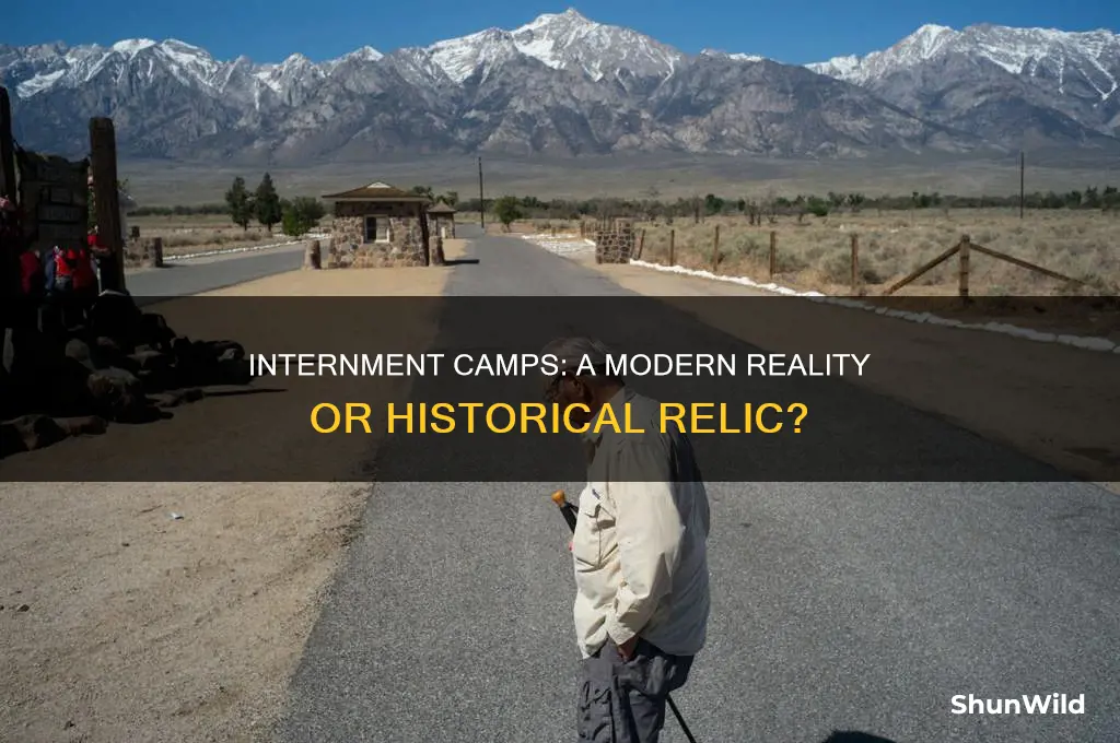 can people be placed in internment camps