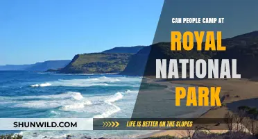 Camping in Royal National Park: Rules, Tips, and Best Spots