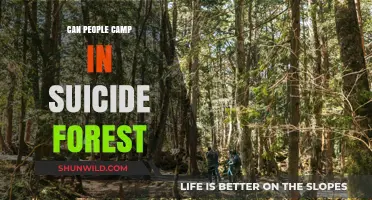 Exploring the Ethics of Camping in Japan's Aokigahara Forest