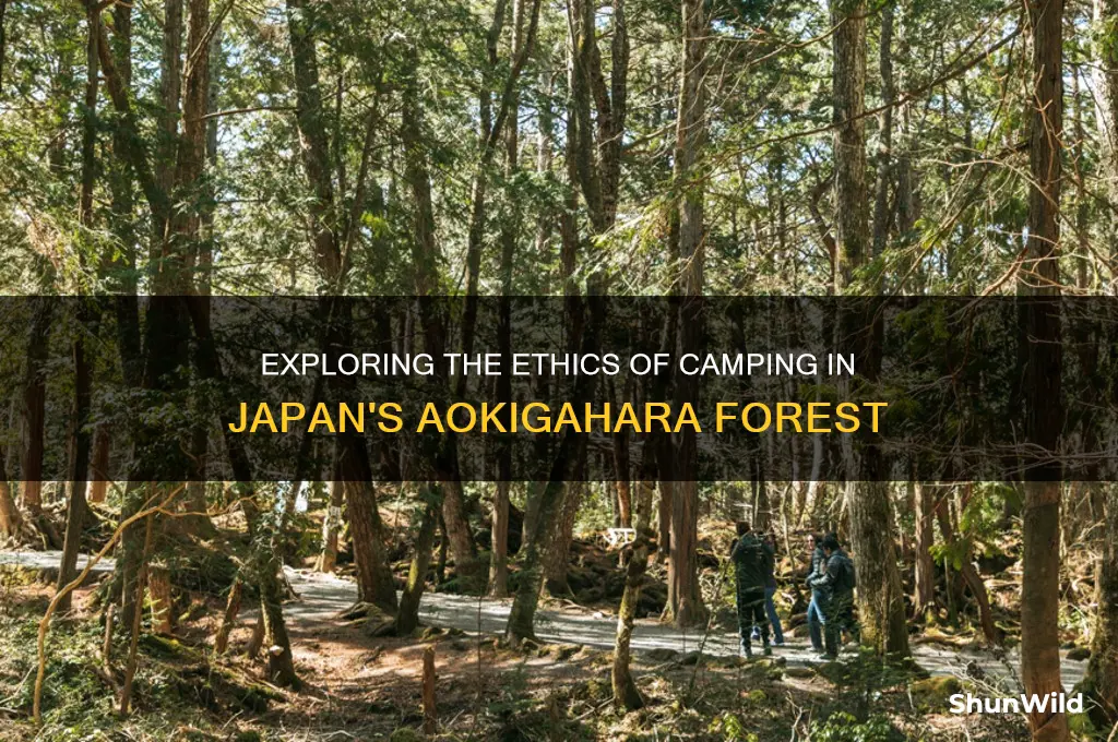 can people camp in suicide forest