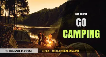 Exploring the Great Outdoors: Can Anyone Enjoy Camping Adventures?