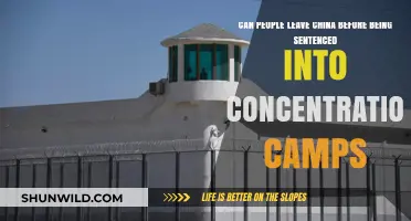 Escaping China Before Sentencing: Concentration Camps and Human Rights Concerns