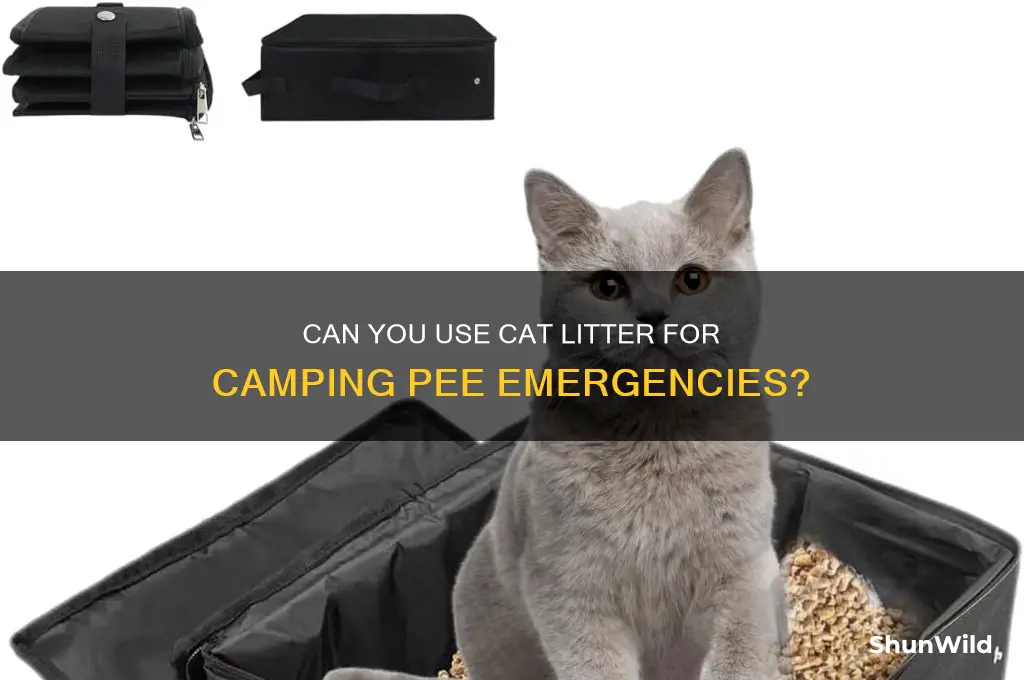 can people pee on cat litter camping