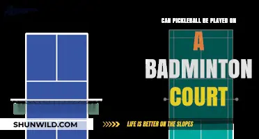 Pickleball on a Badminton Court: Is It Possible?