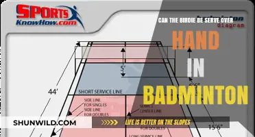 Badminton Serve: Overhand Birdie, Legal or Not?